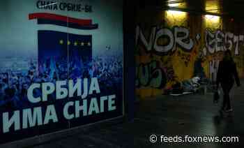 Serbia is a new, unlikely oasis for NYC residents fleeing the city