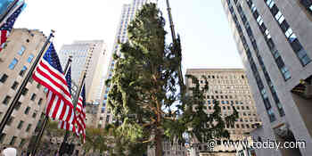 Don't worry, the Rockefeller Center Christmas tree is just fine