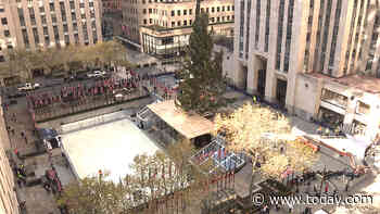 The Rockefeller Center Christmas tree, 'a symbol of hope,' arrives in New York City