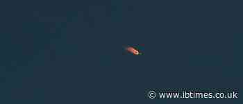Asteroid the size of a bus misses Earth by just 240 miles