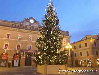 Jesi, l'albero di Natale in piazza ci sarà, nonostante il Covid - Centropagina