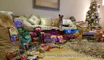 Fundraiser to feed rescue animals for 90 days as charities hit hard by pandemic