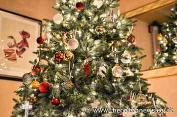 When should you put your Christmas tree up and take it down?