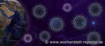 Coronavirus im Landkreis Alzey-Worms: Aktuelle Fallzahlen - Kirchheimbolanden - Wochenblatt-Reporter