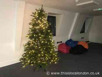 Lapland in your living room! Get ready for a tree-mendous Christmas!