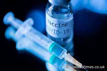 Americans urged to stay home for Thanksgiving as virus surges