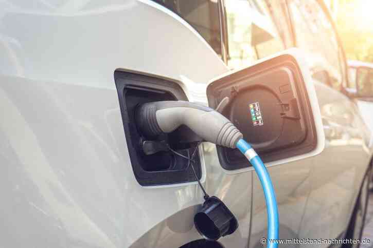 Welche Steuerersparnis ist seit 2020 bei Elektro- und Hybridfahrzeugen möglich?
