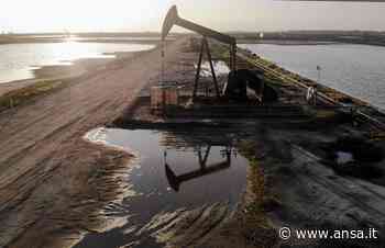 Petrolio: chiude in calo a Ny a 41,74 dollari - ANSA Nuova Europa