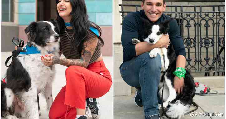 Two Utahns and their dogs join a race around the world for big bucks in Amazon’s ‘The Pack’