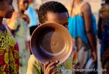 Ethiopia military airstrike hits school as UN warns millions of children need humanitarian assistance