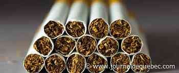 Sherbrooke: saisie de 40 000 cigarettes de contrebande