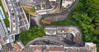 Google's new tool helps cities plant trees to combat the climate crisis     - CNET