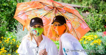 Elders and an Artist Bring a Social Sculpture to Life