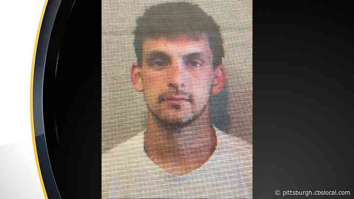 Police Looking For Man Accused Of Robbing Beloved Millvale Hobby Shop