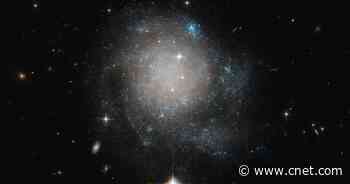 Hubble Space Telescope captures 'cosmic cinnamon bun'     - CNET