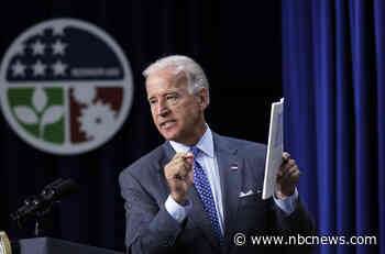 Biden economic recovery faces tradeoff between speed and oversight