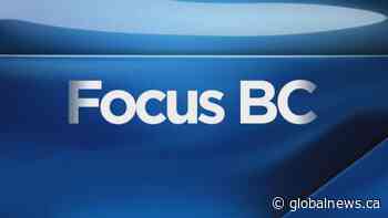 Focus BC: Friday, Nov. 19, 2020