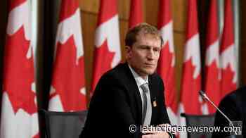 Feds need better data on COVID-19 in Indigenous communities: Miller - Lethbridge News Now