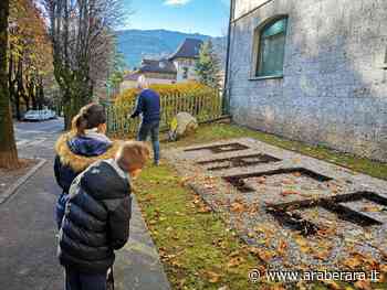 CLUSONE - SCUOLA - I bulbi dei tulipani per la primavera della Pace - Araberara