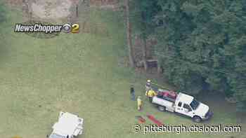 Horse In Lawrence Co. Put Down After Falling Into Cistern, Breaking Femur