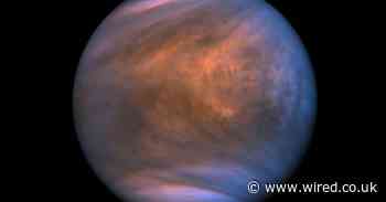 To find life on Venus, first we need to figure out life on Earth