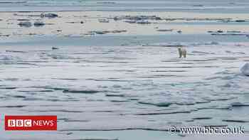 New rules for Arctic shipping 'a missed opportunity'