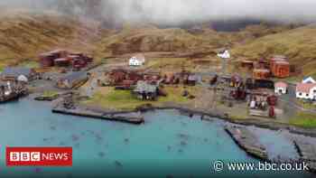 South Georgia whaling: Antarctic art marks a dark past