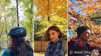 Stars Fallin' For Foliage -- Rake 'Em In!