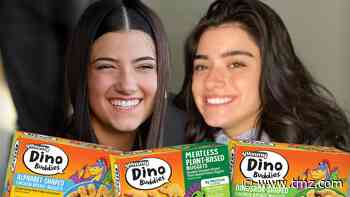 TikTok Stars Charli and Dixie D'Amelio Getting Dino Nuggets, No Snails