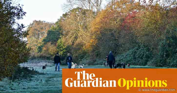 From rewilding to forest schools, our attitude to nature is changing for the better | Melissa Harrison