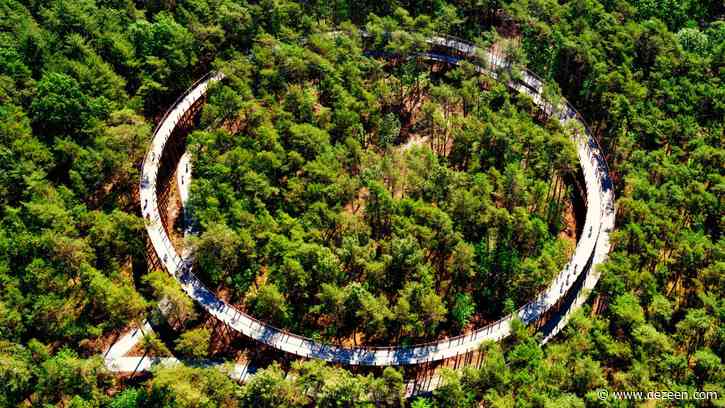 Raised circular cycling path gives 360-degree views of Belgian forest