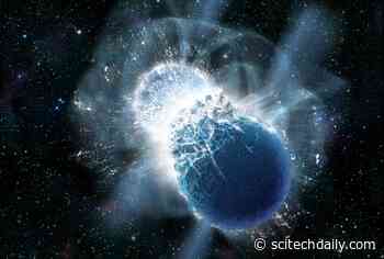 Black Hole or No Black Hole: Astrophysics of Neutron Star Collisions