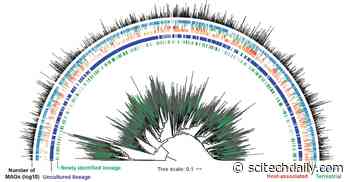 Uncovering Novel Genomes From Earth’s Microbiomes – Expands Known Diversity of Bacteria and Archaea by 44%