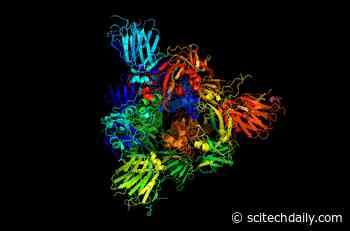 COVID-19: Vibrations of Coronavirus Proteins May Play Role in Infectivity and Lethality