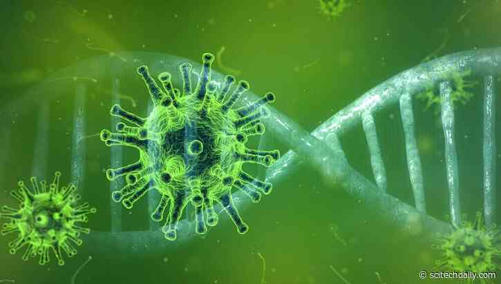 SARS-CoV-2 Uses “Genetic Origami” to Infect and Replicate Inside Host Cells – Discovery Could Lead to New COVID-19 Treatments