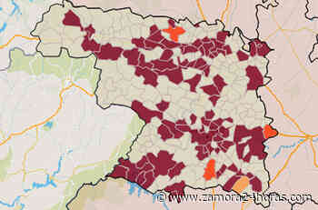 Consulta los 79 municipios de Zamora que poseen una incidencia “muy alta” de coronavirus este sábado - Zamora 24 Horas