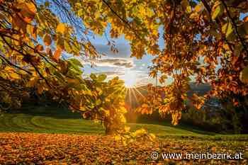 Herbst in Kirchberg am Wechsel: Bunter Herbst in Kirchberg - Neunkirchen - meinbezirk.at