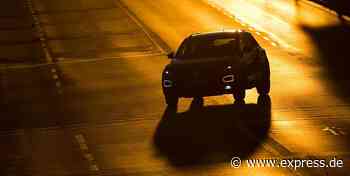 Neunkirchen-Seelscheid: Straße liegt voller Lachsforellen - EXPRESS