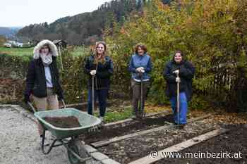 Warth: Schüler machen ihren Bauerngarten winterfest - Neunkirchen - meinbezirk.at