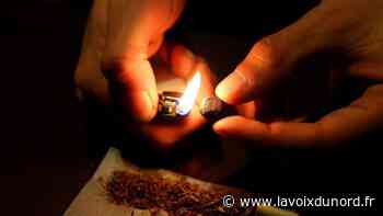 Arras : 1,4 kg de cannabis saisi quartier Méaulens, quatre personnes arrêtées - La Voix du Nord