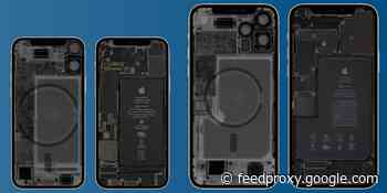 Peek inside your new iPhone 12 mini and iPhone 12 Pro Max with iFixit’s X-ray wallpapers