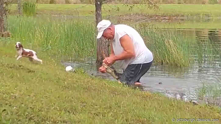 Florida Retiree Wrestles Puppy From Jaws Of Alligator