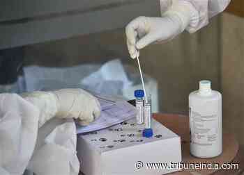23 deaths, 719 new coronavirus cases in Punjab - The Tribune India
