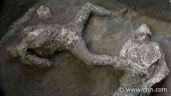 Bodies of rich man and slave discovered within Pompeii ruins