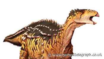 Study confirms bones found in Antrim came from dinosaurs