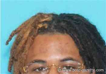 Pittsburgh man's death identified as a drowning