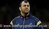 Michael Cheika switches codes to take coaching role with Lebanon - Talking Rugby Union