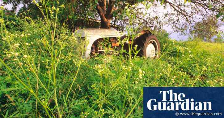 War of the weedkiller: why environmentalists are concerned about moves to ban Roundup