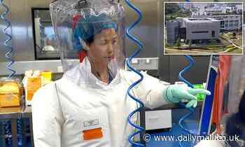 China's 'bat woman' reveals new tests which suggest coronavirus did NOT originate at her Wuhan lab 