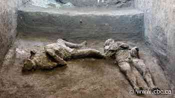 Bodies of man and his slave unearthed from ashes at Pompeii